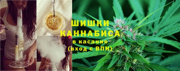 каннабис Богданович